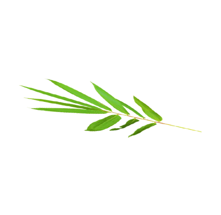Bgreen product