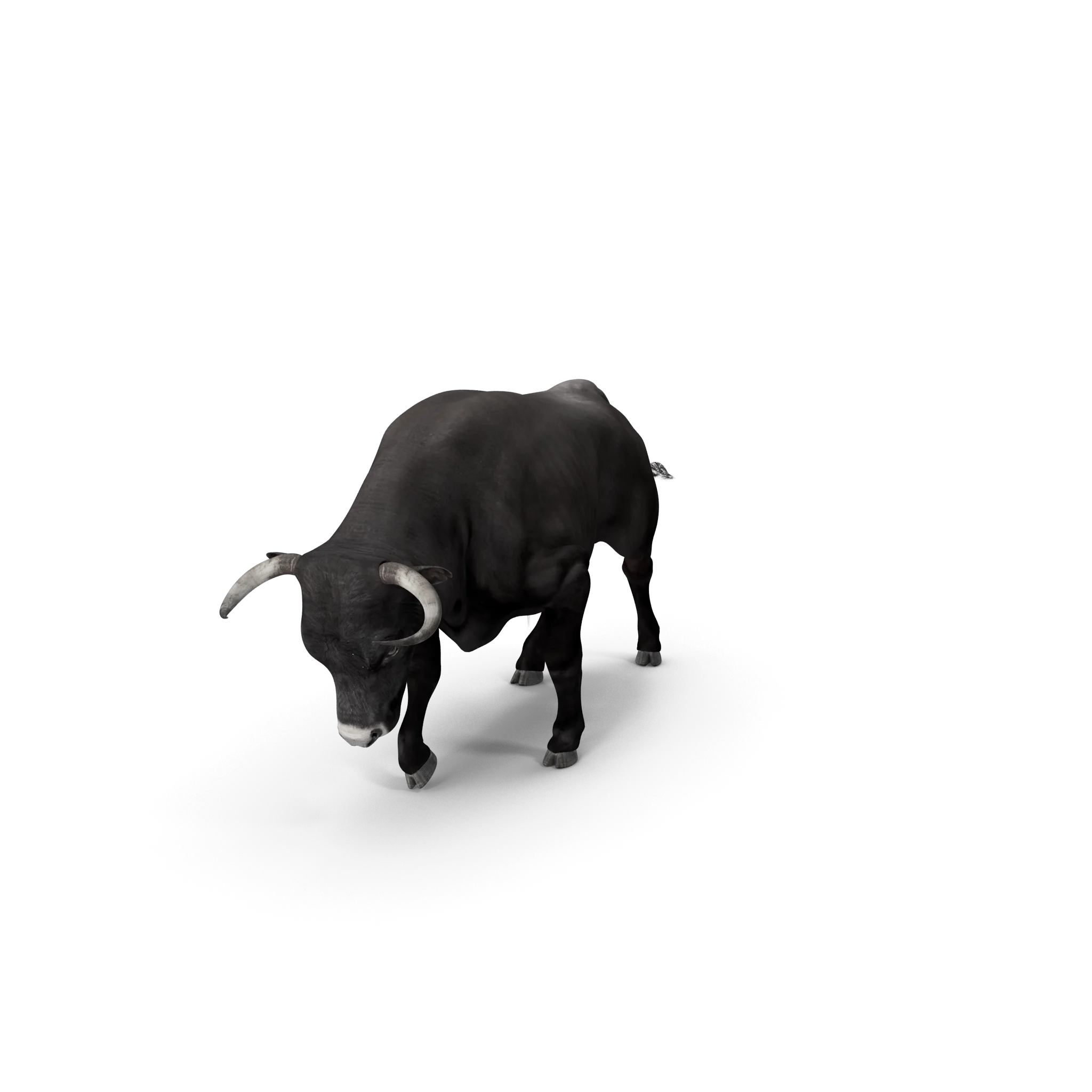Bull product